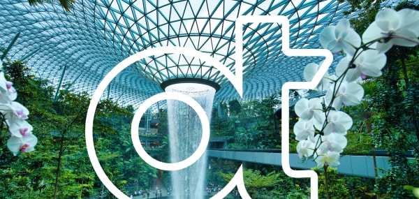 Singapore Summit logo image