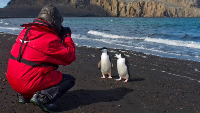 A photographer taking pictures of penguins on a beach