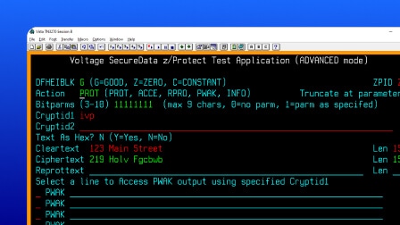 A screenshot of the OpenText Data Privacy and Protection Foundation interface showing a code view.