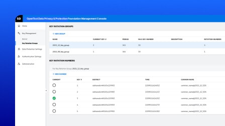 A screenshot of the OpenText Data Privacy and Protection Foundation user interface showing a menu option.