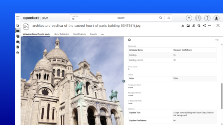 A screenshot of the OpenText Digital Asset Management user interface showing tagging options.