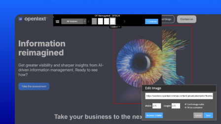 A screenshot of the OpenText Core Web Optimization user interface.