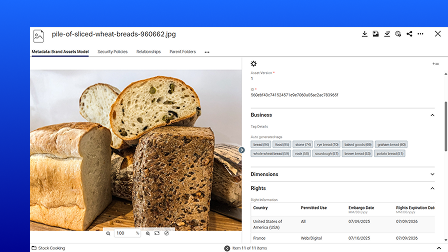 A screenshot of the OpenText Digital Asset Management user interface showing different asset management options.