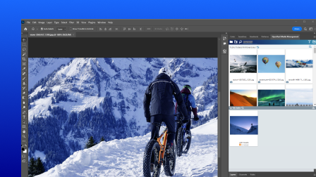 A screenshot of the OpenText Digital Asset Management user interface.