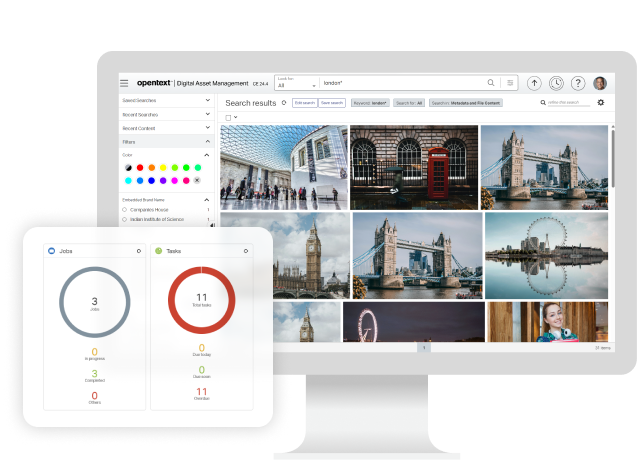 OpenText Digital Asset Management (DAM) software running on a computer