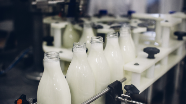 milk bottle production