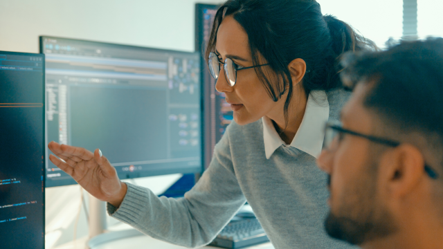 The person explaining a project to a colleague on a computer