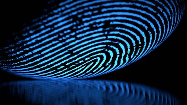 Illustration of digital fingerprint.